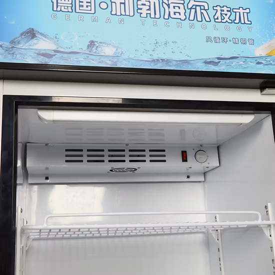 Aufrechte Vitrine mit Glastür und berühmtem Kompressor. Kommerzielle Supermarkt-Obst-Gemüse-Getränkevitrine