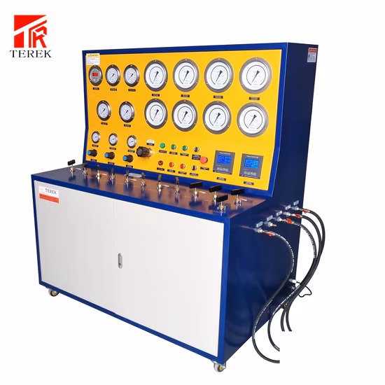 Intelligent Digital Display Instrument 4-20mA/ RS485/Relay Signal Output Solenoid Valve/Water Pump/Temperature/Pressure/Levelmeasurement Display Control Alarm