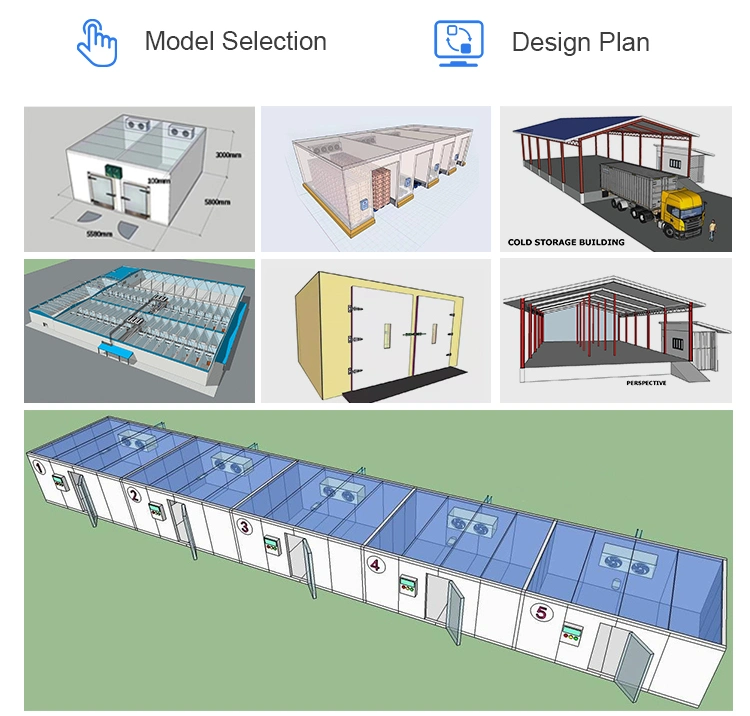 Walk in Cooler Refrigeration Cold Storage Freezer Chiller Cold Room