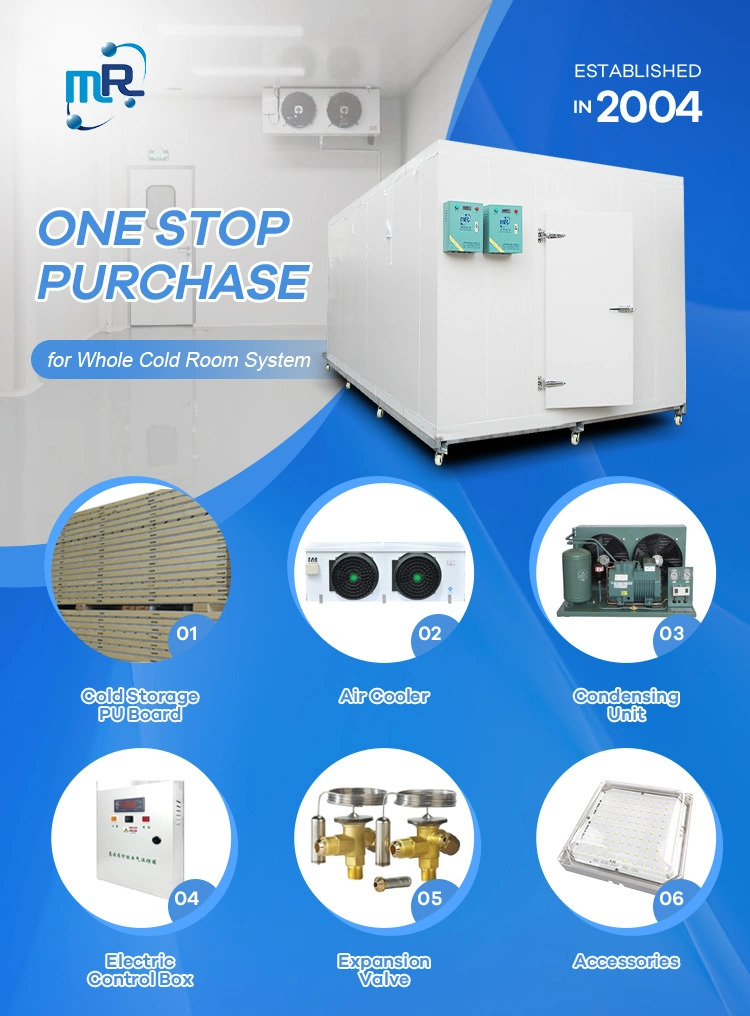 Walk in Cooler Refrigeration Cold Storage Freezer Chiller Cold Room