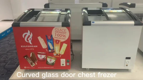 Kommerzielle Kühlschränke zum Fabrikpreis, Gefrierschrank mit gebogener Glasschiebetür für Hähnchen, Fisch, Meeresfrüchte, Eis