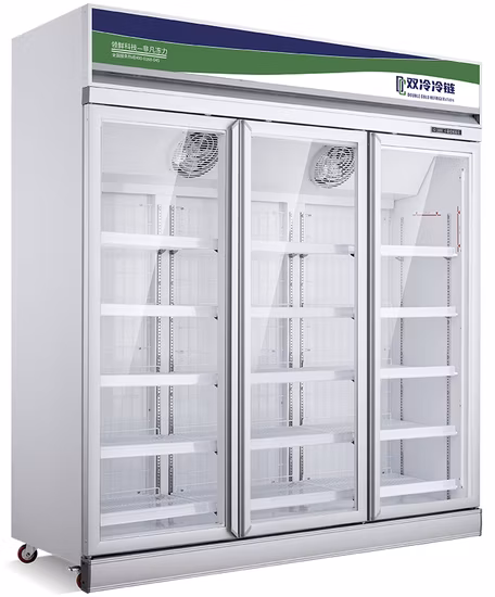 Kühlschrankteile Glastür für Vitrine Bierkühler